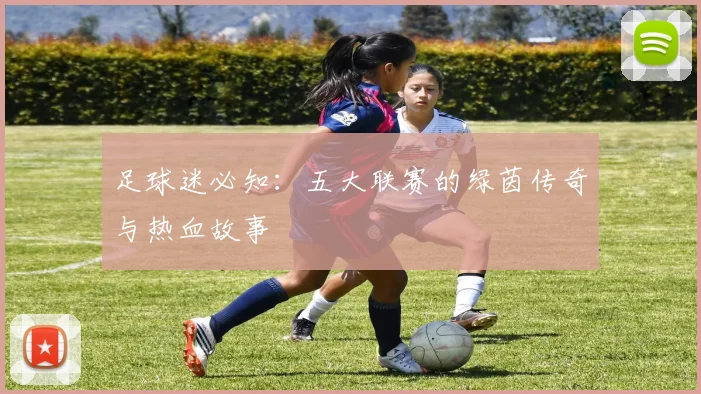 足球迷必知：五大联赛的绿茵传奇与热血故事