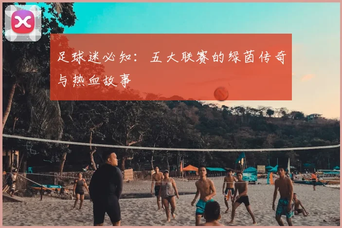 足球迷必知：五大联赛的绿茵传奇与热血故事