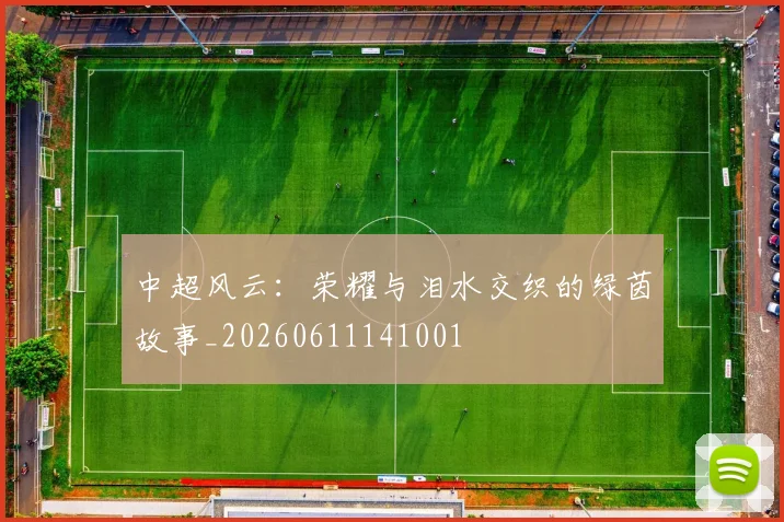 中超风云：荣耀与泪水交织的绿茵故事_20260611141001